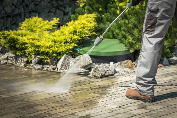 Best Sidewalk and Walkway Cleaning  in St Paul, VA